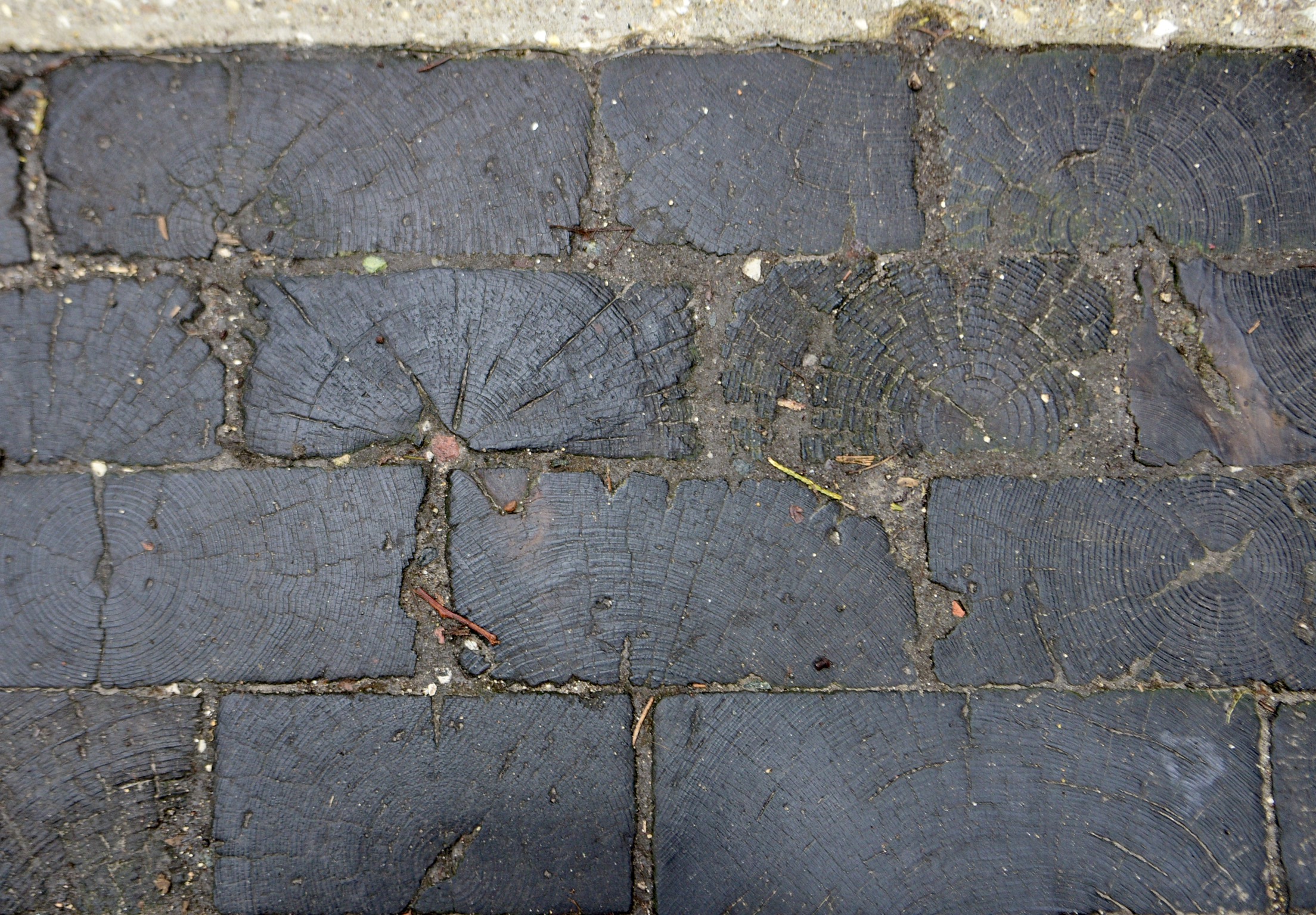 A path of colorful wooden blocks laid out like pieces of a project coming together